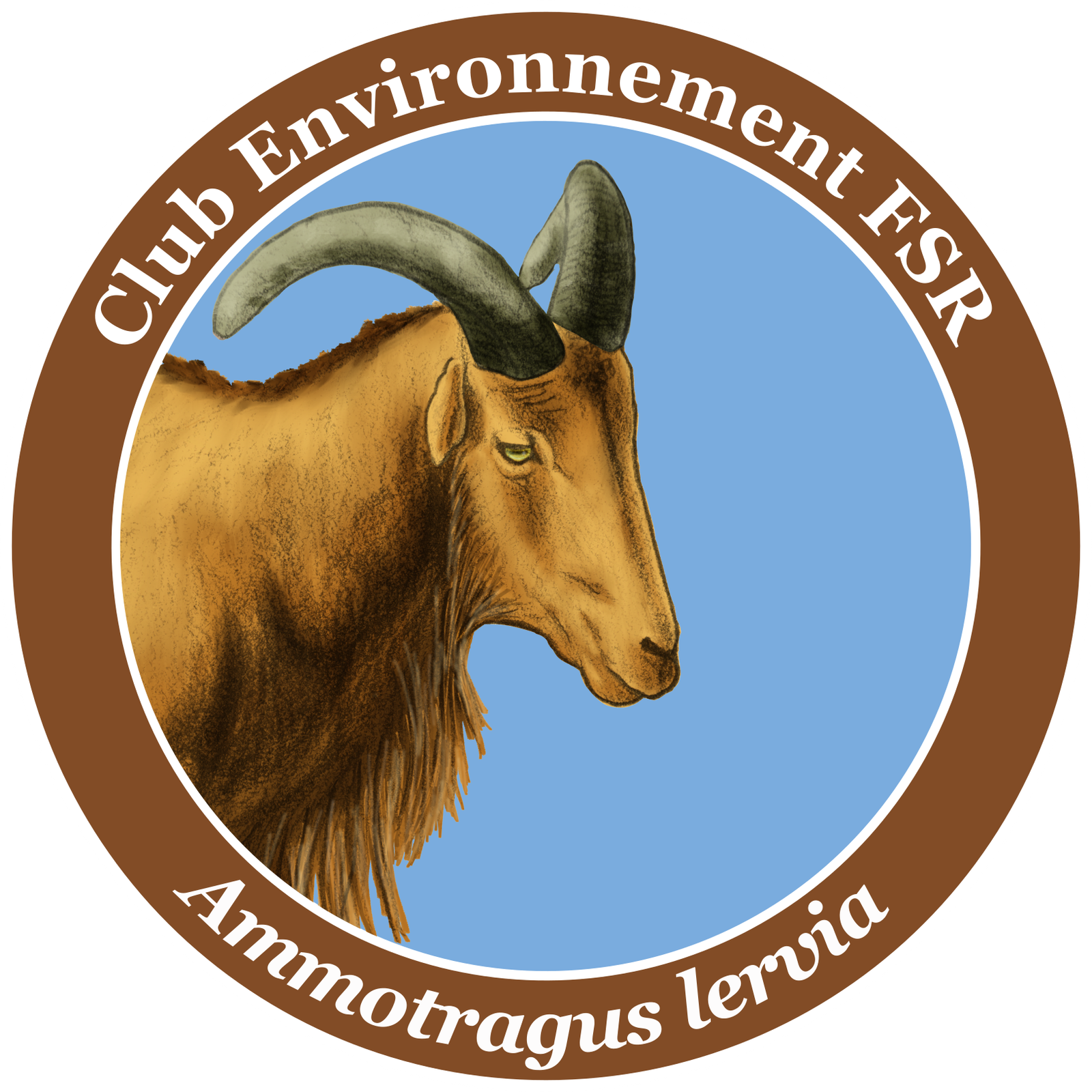 Aoudad Barbary Sheep illustrated poster