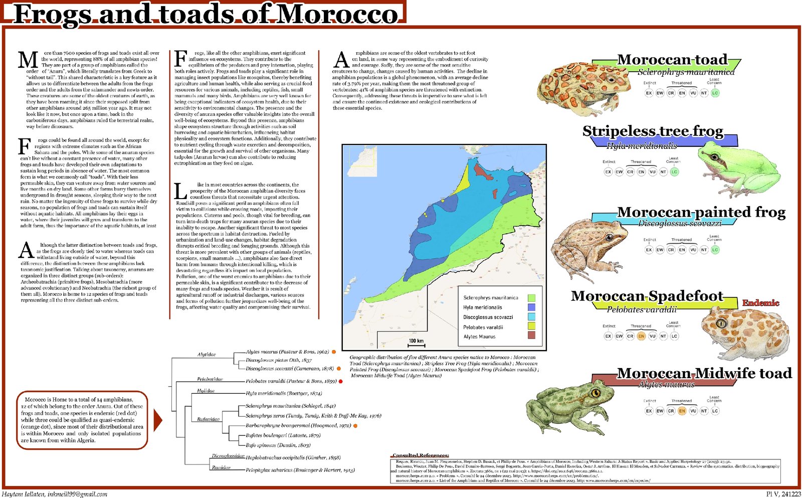 Frogs and Toads of Morocco illustrated guide