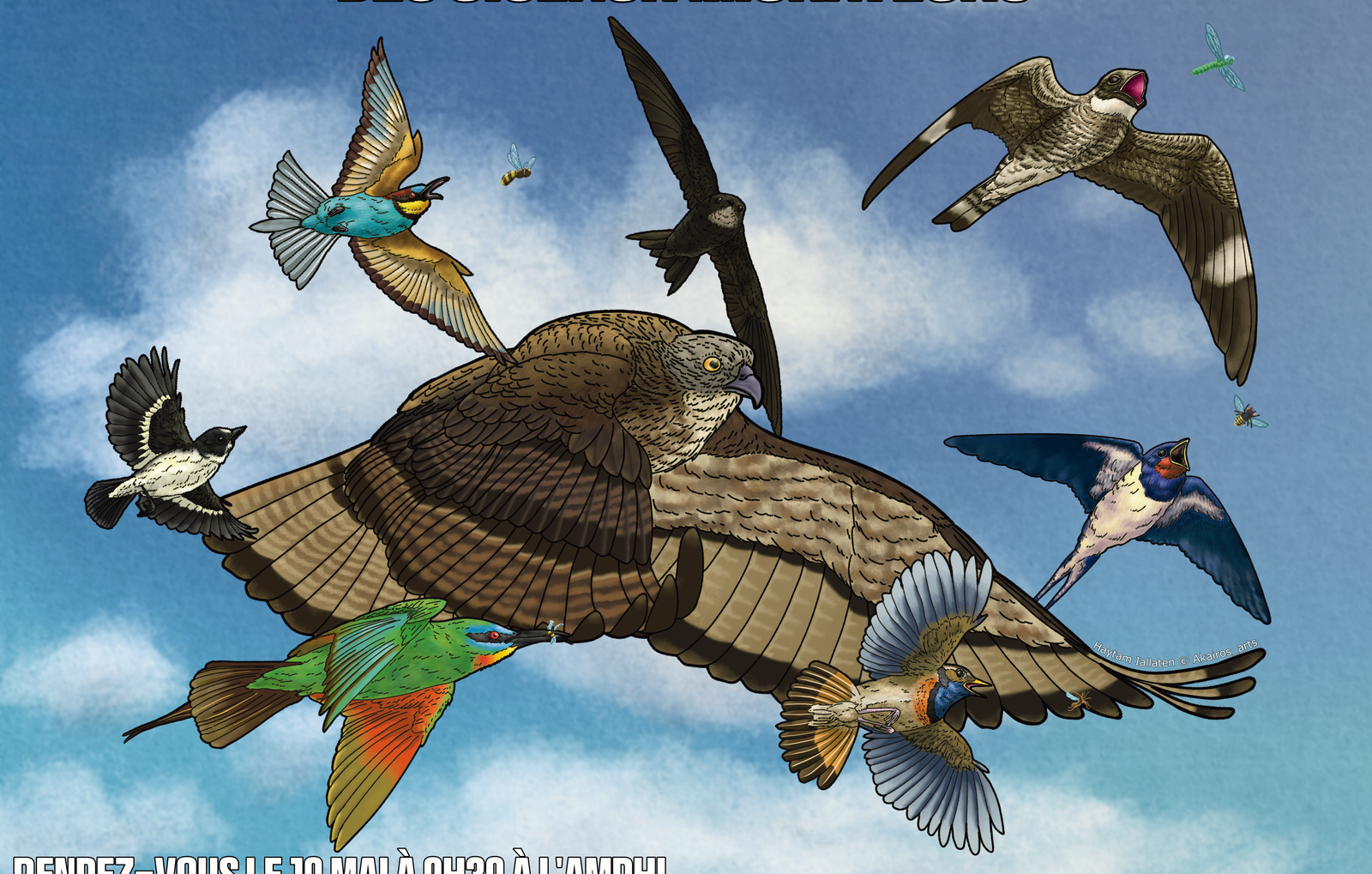 JMOM illustrated birds panel