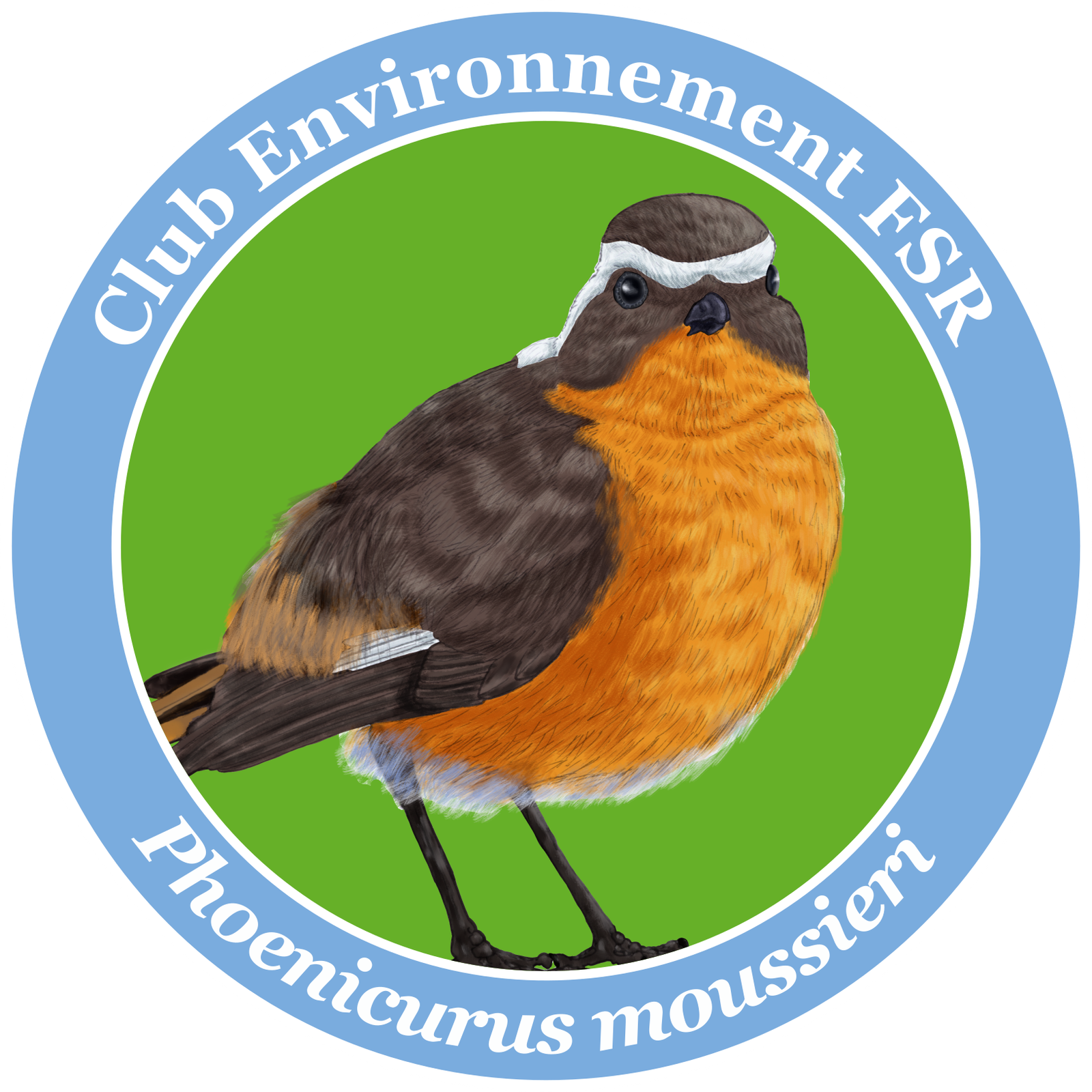Moussier's Redstart endemic bird poster