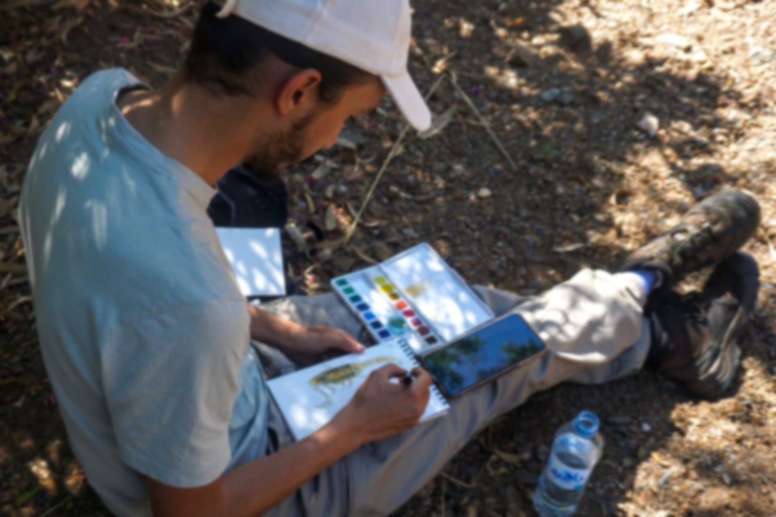 Nature art illustration in the field — combining artistic practice with scientific fieldwork