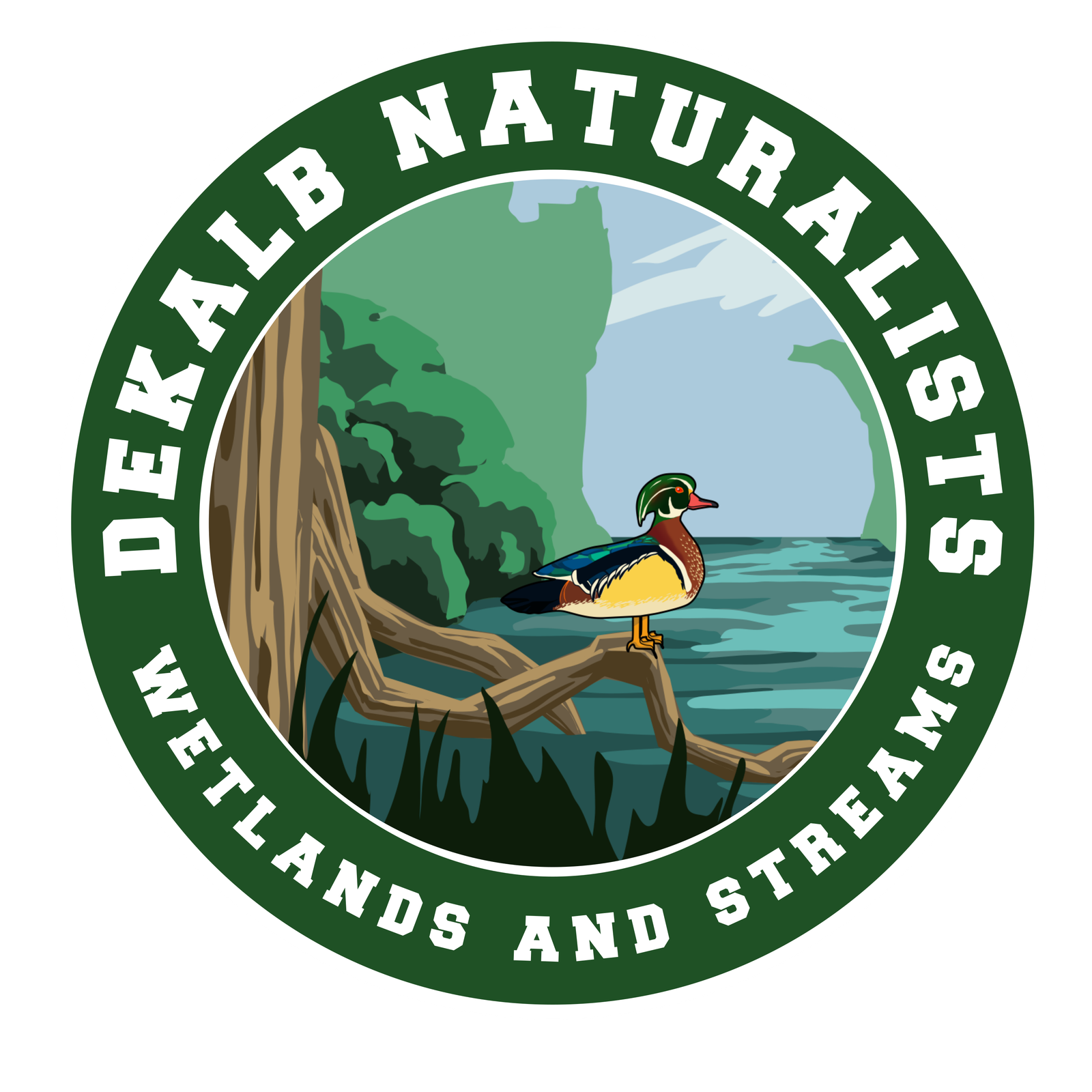 Streams and wetlands illustrated panel